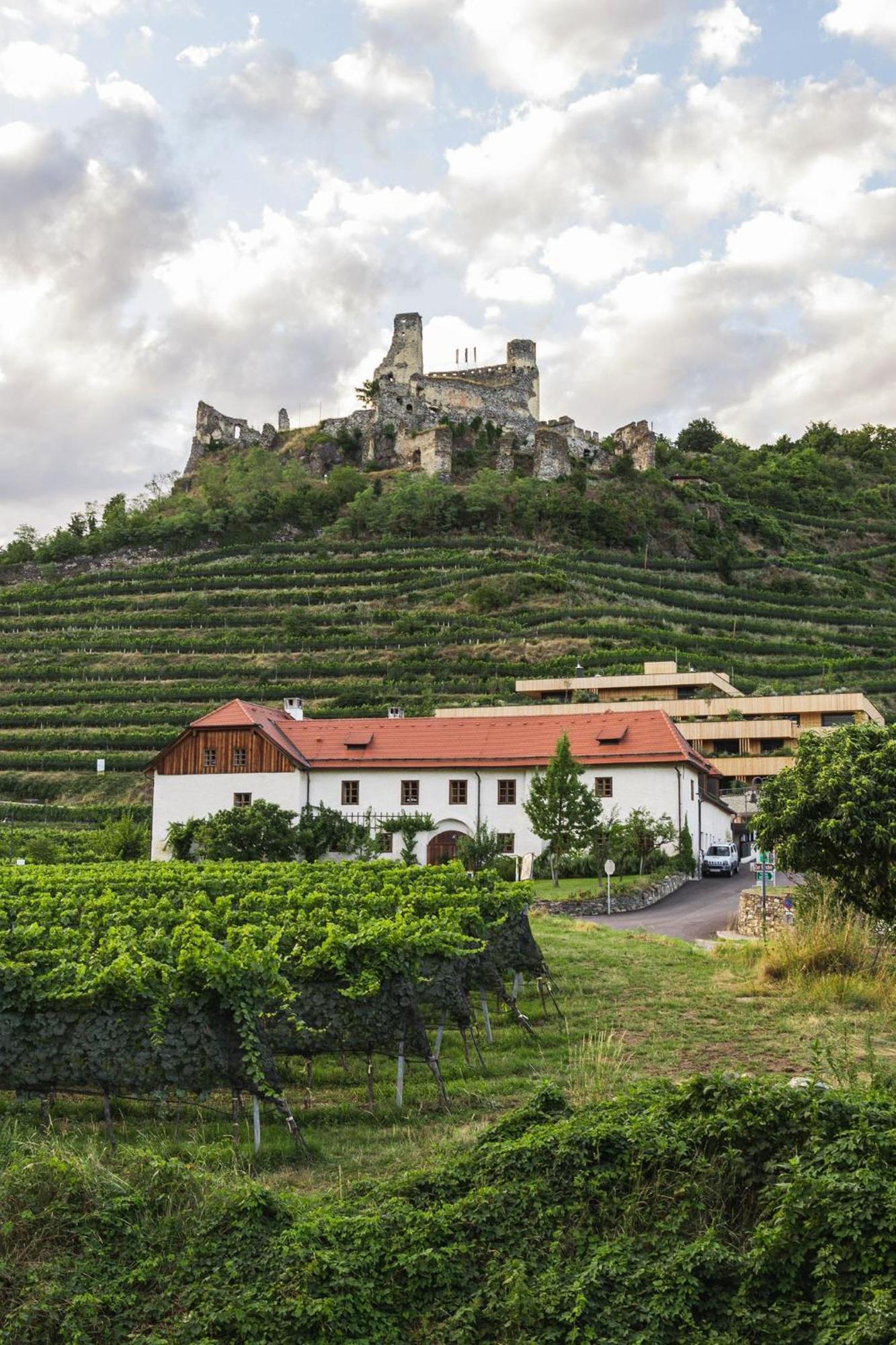 Weinhaus Nigl - Hotel, Restaurant Und Spa 山夫顿堡 外观 照片